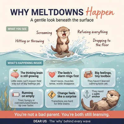 Dear Me:  A Dual-View Somatic & Neuro-Developmental Co-Regulation System