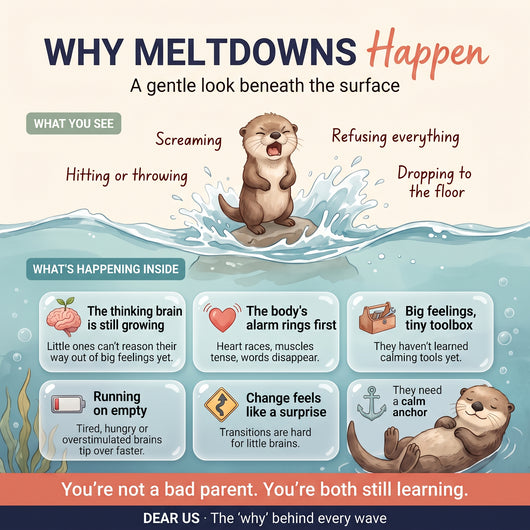 Dear Me:  A Dual-View Somatic & Neuro-Developmental Co-Regulation System