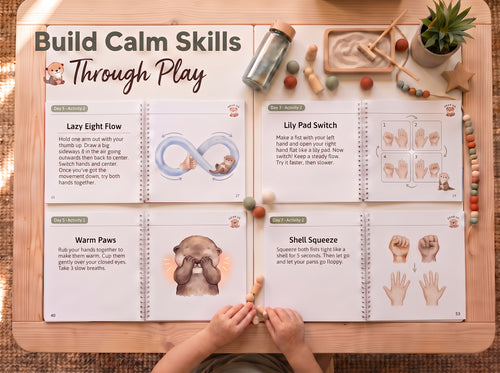 Dear Me:  A Dual-View Somatic & Neuro-Developmental Co-Regulation System
