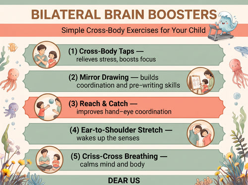 Dear Me:  A Dual-View Somatic & Neuro-Developmental Co-Regulation System